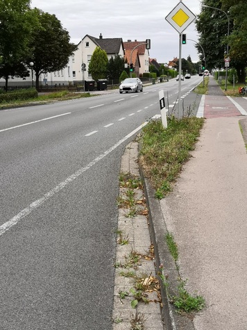 Vorschlag: Lagesche Straße, Radfahrschutzstreifen